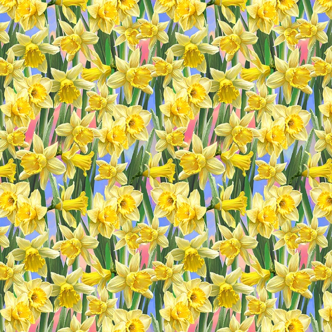 Yellow Daffodil Fabric - Timeless Treasures