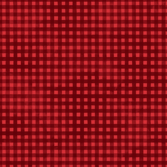 Jewel Gingham Fabric - Red - P&B