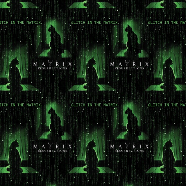 Matrix Cat - The Matrix Fabric