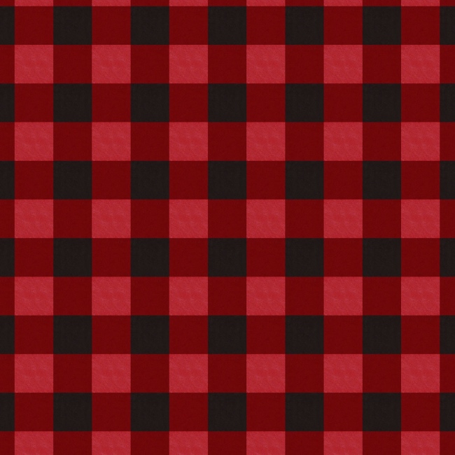 Red And Black Seasonal Gingham Fabric