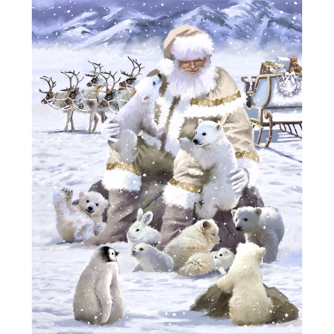 Snow Friends - Here comes Santa - Fabric Panel