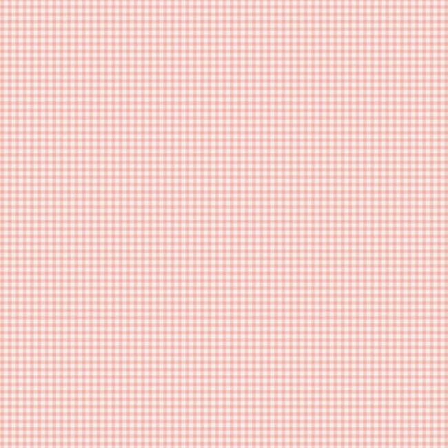 Gingham Coral - The Tale Of Peter Rabbit Fabric