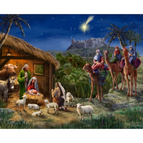 Christmas Nativity Visit Panel