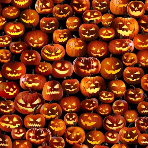 All Hallows' Eve Packed Jack O Lanterns Halloween Fabric